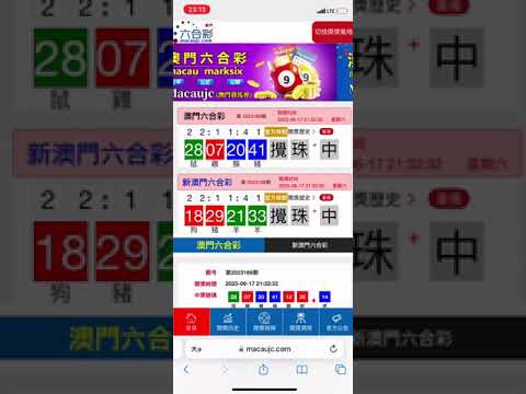 數(shù)字迷航:小李與新澳門歷史開獎(jiǎng)記錄查詢表的時(shí)空回溯