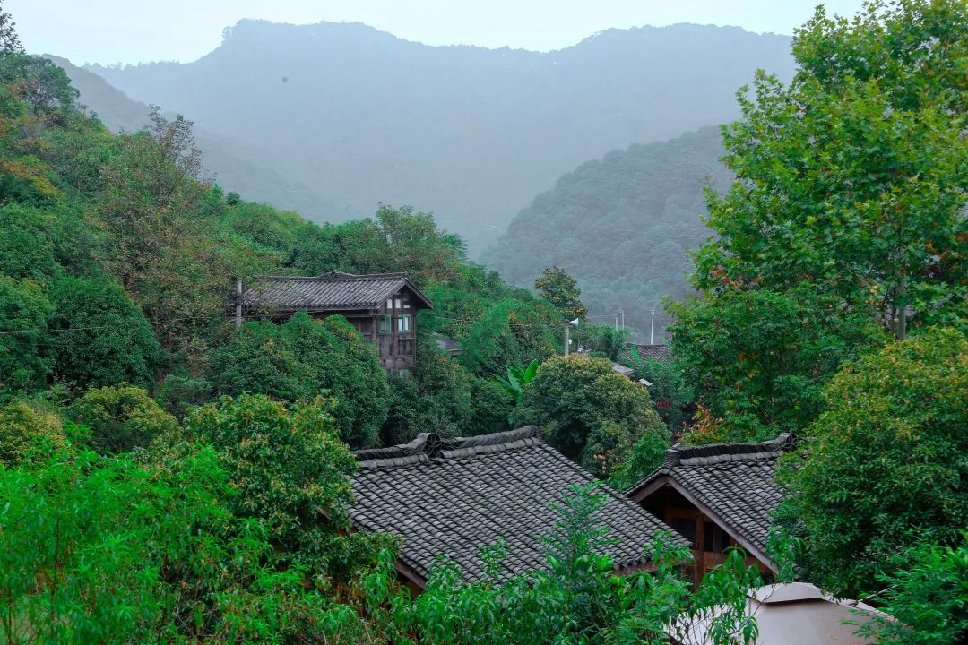 穿梭信息迷局：解碼“管家婆一句中特7嗎”的城市對(duì)話