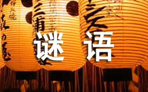 虛擬港灣的謎思：探秘新澳門天天免費謎語下一期的數(shù)字奇遇