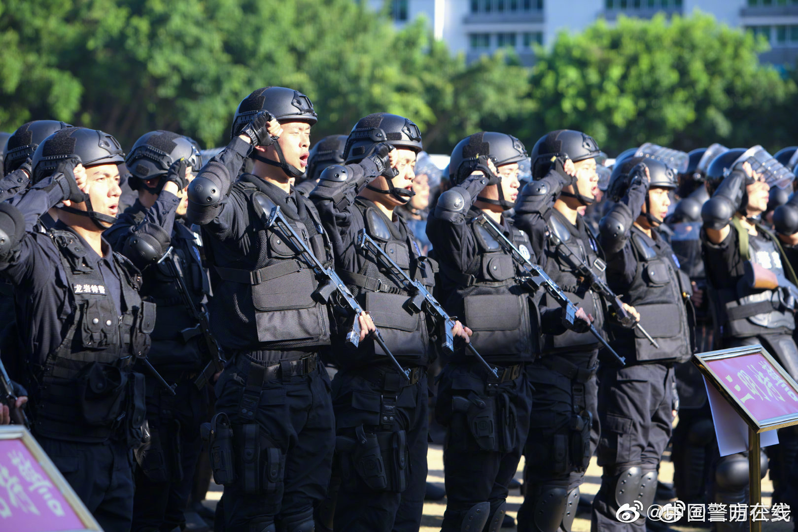 夜幕下的對話：探秘中國人民武裝警察部隊特種警察學院難考嗎的真相