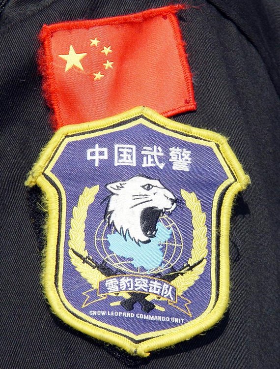 精讀:中國人民武裝警察部隊特種臂章的象征與榮耀深度解析