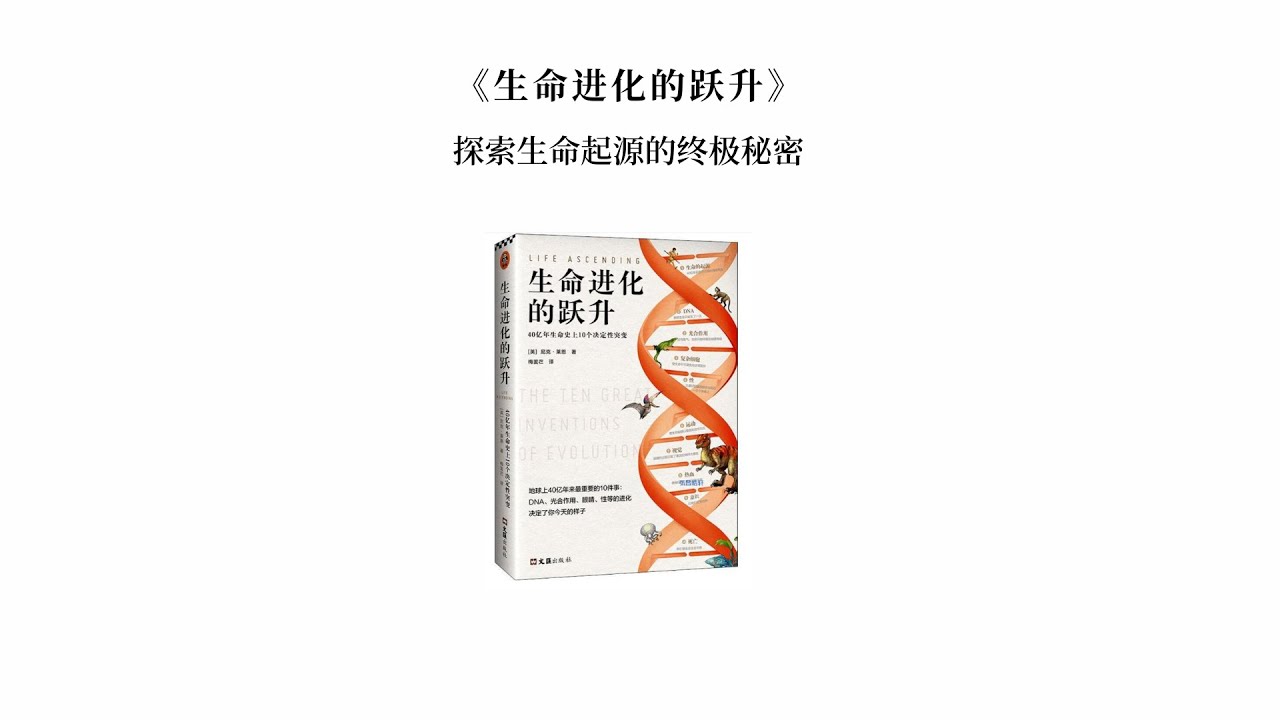 探秘?cái)?shù)字邊境：77777788888王中王與未來(lái)社會(huì)的深層博弈