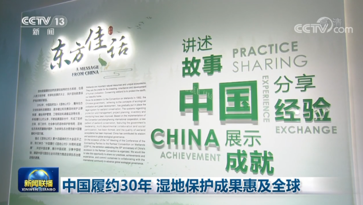 邊境密語(yǔ):一場(chǎng)關(guān)于《禁止化學(xué)武器公約》的深度對(duì)話與啟示