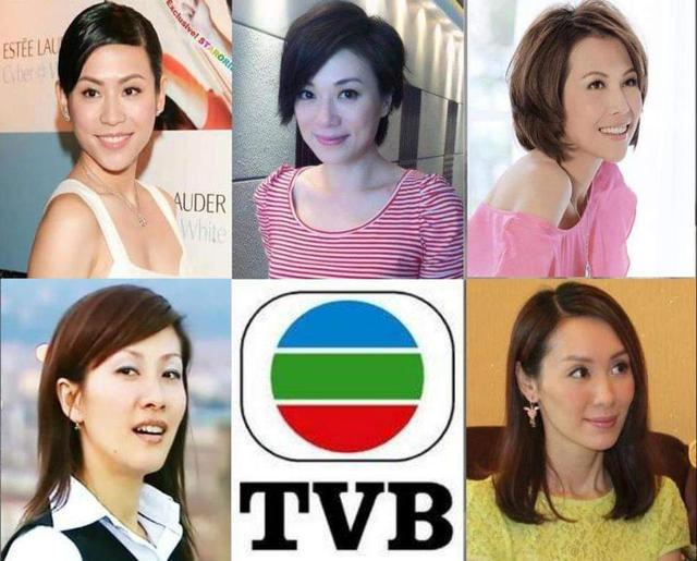 光影回溯:一場關于蔡少芬個人資料及演過的電視劇的深度對話