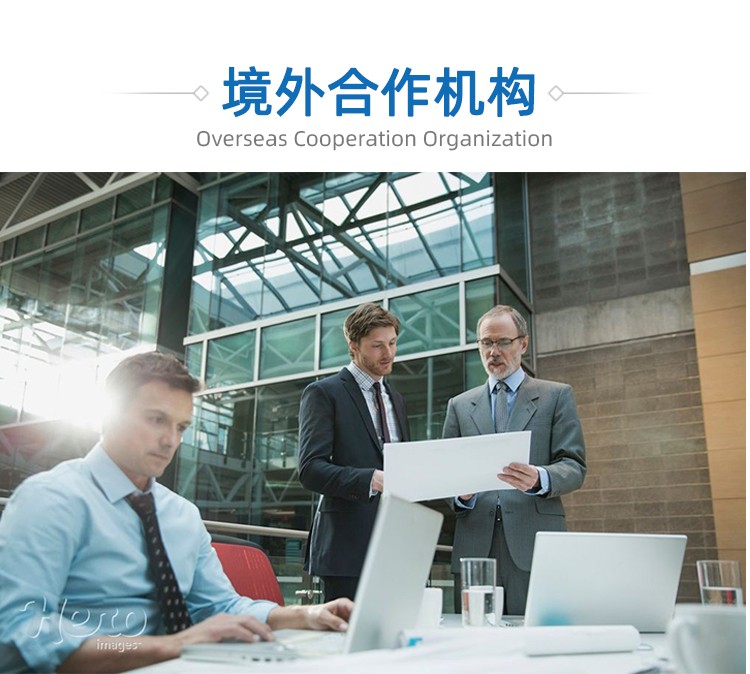 新奧天天全年免費(fèi)大全:一場(chǎng)跨越數(shù)字邊界的奇遇與思辨