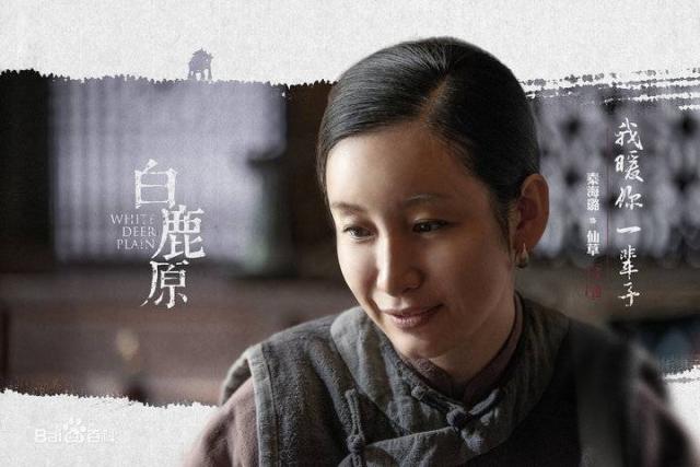 秦海璐演過哪些電視劇深度解析:盤點其經(jīng)典代表作與多樣化熒屏形象