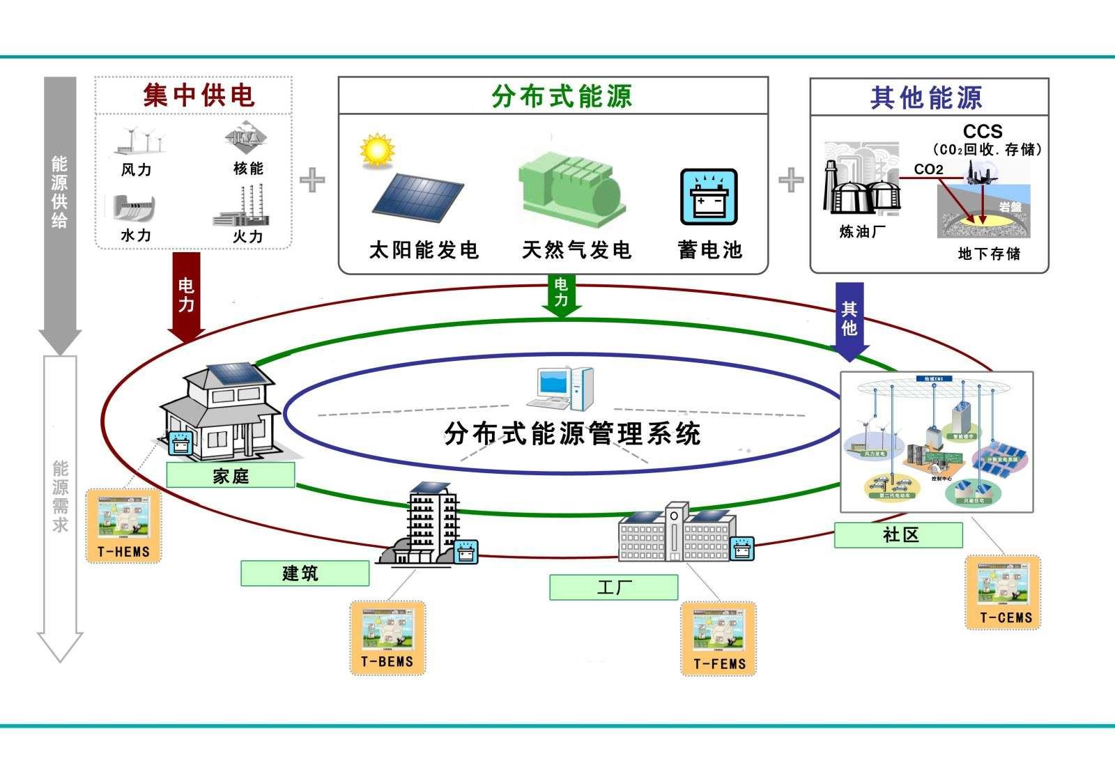 新奧正版免費料大全：深度解析與權威獲取實用指南