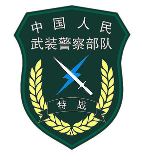 武警特戰(zhàn)臂章的沉思：一次老兵與青年的時(shí)光對(duì)話