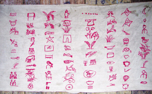 數(shù)字邊境的奇遇：老李與小雅對話777888新奧彩的奧秘