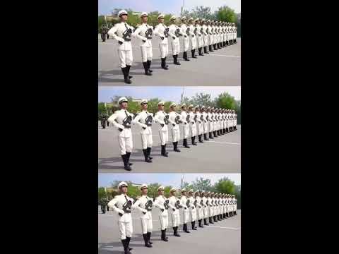 中國人民解放軍儀仗隊女兵方隊:榮耀場景聚合下的多元力量特寫