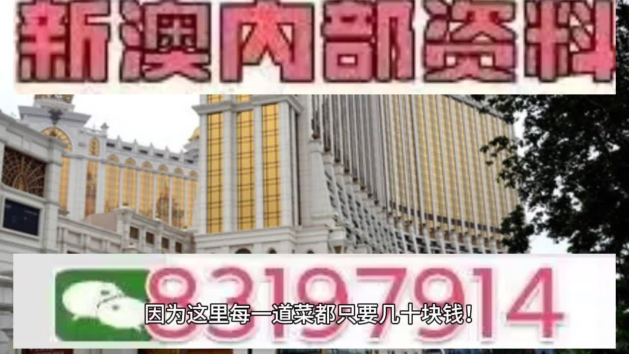 澳門六肖中特馬，探索與解讀，澳門六肖中特馬的探索與解讀指南