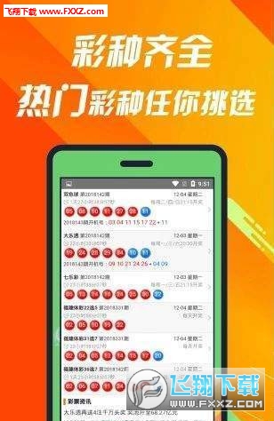 王中王493333中特大全揭秘，王中王493333揭秘特大大全內(nèi)幕