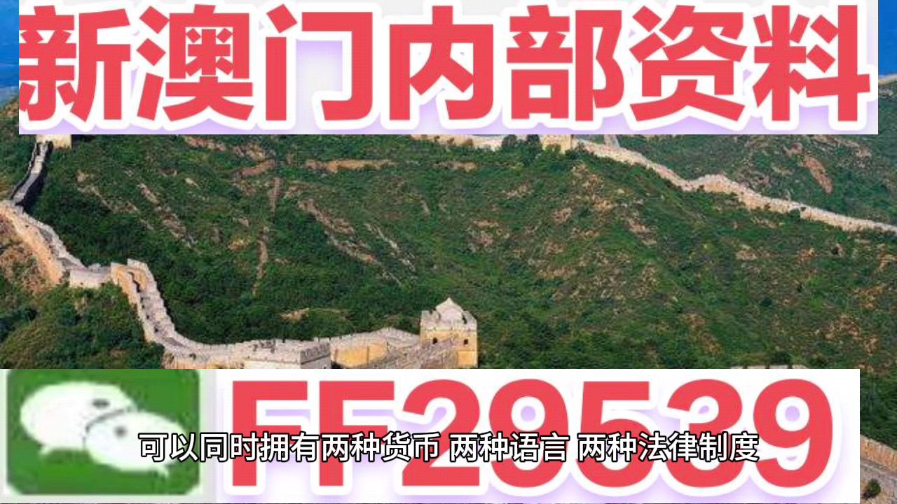新澳門今晚開獎結(jié)果號碼查詢表，探索彩票世界的神秘面紗，新澳門今晚開獎結(jié)果號碼查詢表，揭開彩票世界的神秘面紗