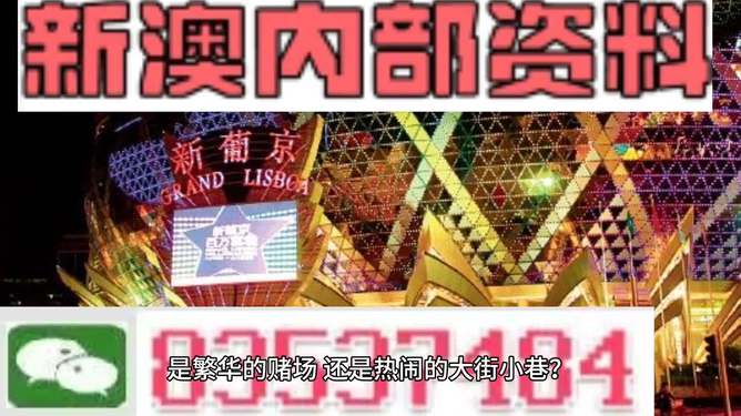 新澳門天天免費(fèi)精準(zhǔn)大全謎語(yǔ)，探索神秘的世界與文化的魅力，新澳門天天免費(fèi)精準(zhǔn)謎語(yǔ)大全，探索神秘世界與文化魅力