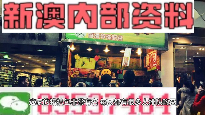 新奧天天精準(zhǔn)資料大全，探索與解析，新奧天天精準(zhǔn)資料大全，深度探索與全面解析