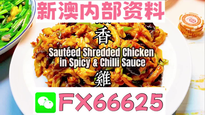 新奧精準免費資料提供，助力企業(yè)高效發(fā)展的強大引擎，新奧精準免費資料，助力企業(yè)高效發(fā)展的強大引擎
