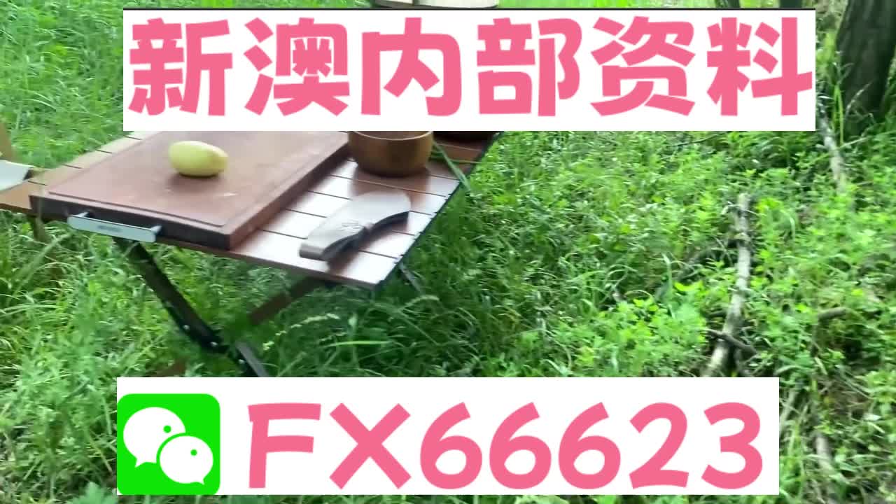 新澳資料免費精準期期準，探索最新數(shù)據(jù)與預測的世界，新澳資料免費精準預測，探索最新數(shù)據(jù)與預測的未來趨勢
