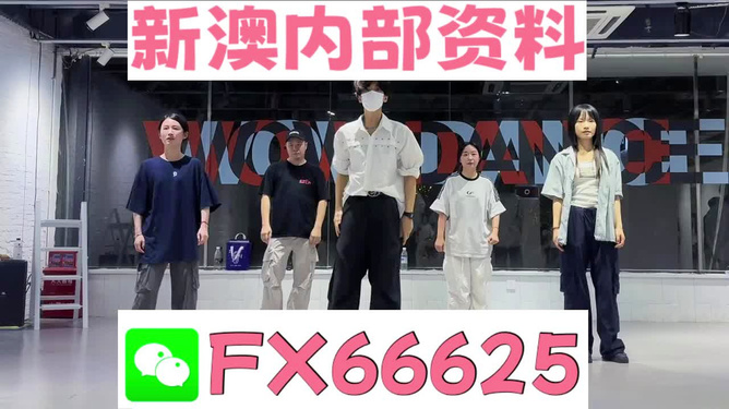 新澳天天開獎資料大全最新版詳解，新澳天天開獎資料大全最新版詳解及中獎秘籍