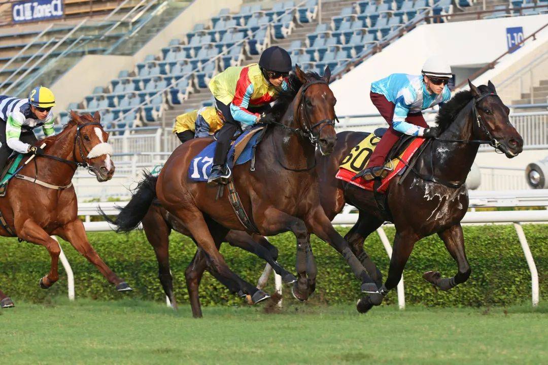 香港馬，77777與88888的傳奇故事，香港賽馬傳奇，77777與88888的傳奇篇章