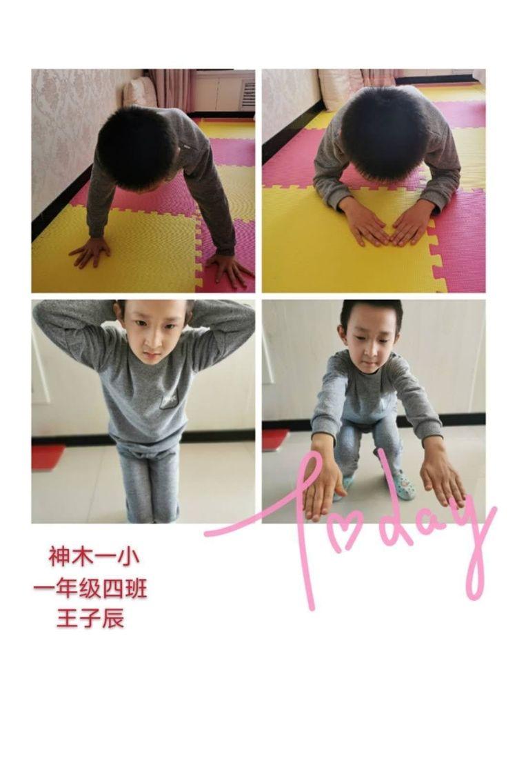 新天天彩免費資料大全，探索與解析，新天天彩免費資料大全，深度探索與解析
