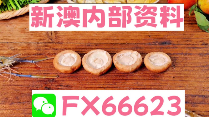 新澳全年免費資料大全，探索與收獲，新澳全年免費資料大全，探索之旅與收獲的時刻