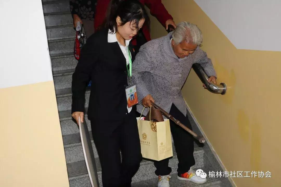 天天免費資料彩票大全，探索彩票世界的奧秘與機遇，天天免費資料彩票大全，揭秘彩票世界的奧秘與機遇
