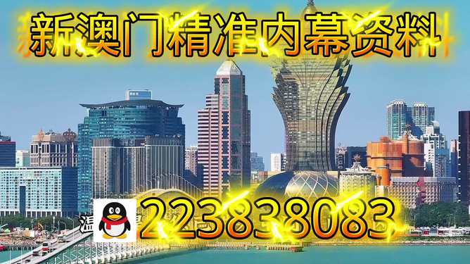 探索新澳門正版內(nèi)部，一個(gè)多元化的未來(lái)展望（至2025年），澳門未來(lái)展望，探索多元化發(fā)展之路至2025年