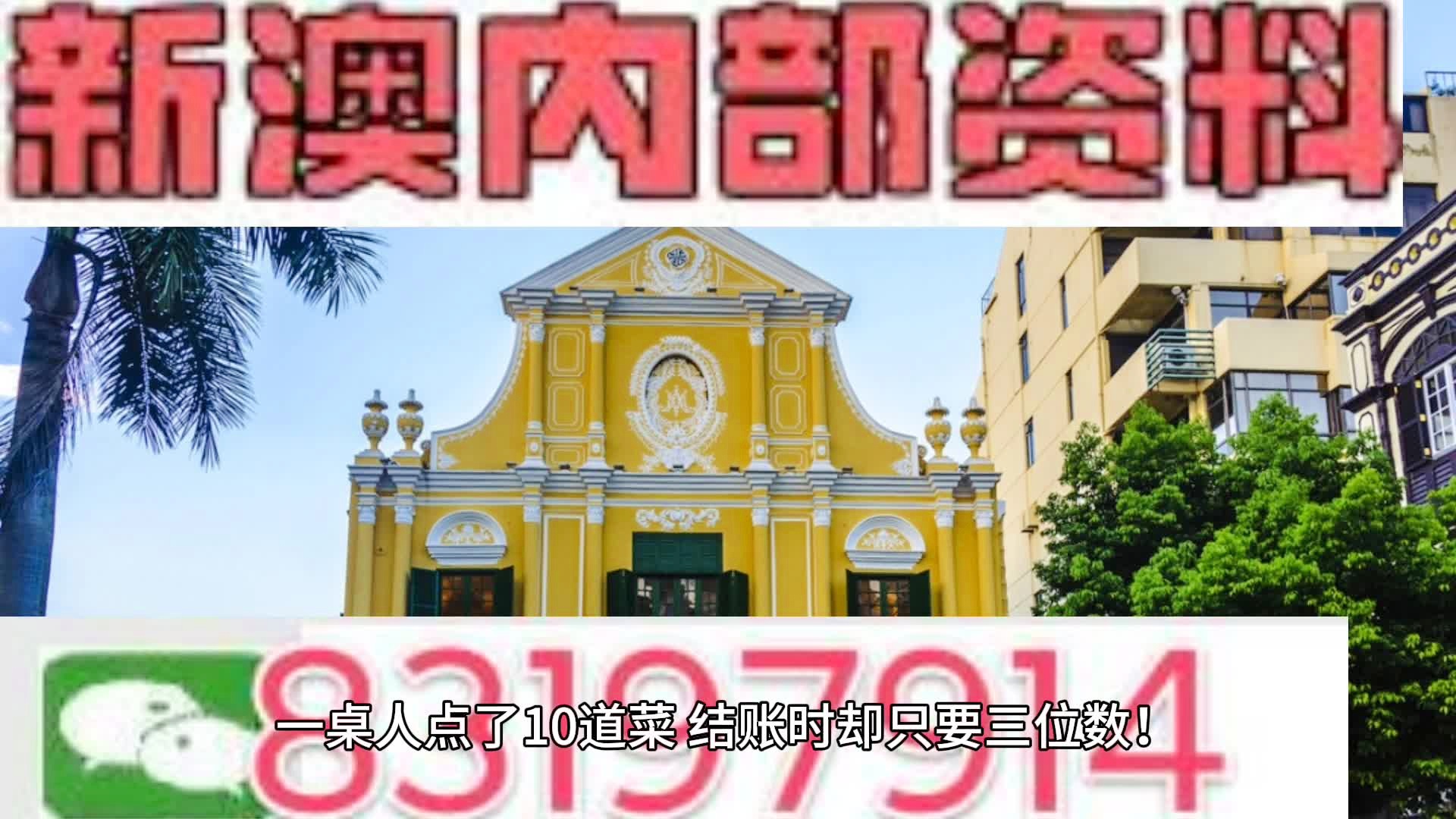 新門內(nèi)部資料大全免費查詢，探索與啟示，新門內(nèi)部資料免費探索，啟示與大全查詢