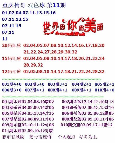 新門內(nèi)部資料大全免費查詢，探索與啟示，新門內(nèi)部資料免費探索，啟示與大全查詢