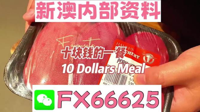 探索未來(lái)，揭秘2025新奧精準(zhǔn)正版資料的價(jià)值與影響，揭秘未來(lái)之門，2025新奧精準(zhǔn)正版資料的價(jià)值與影響探索