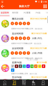 揭秘493333王中王中的開獎特色，揭秘493333王中王彩票開獎特色