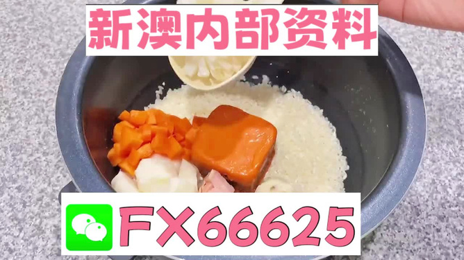 新奧精準(zhǔn)免費(fèi)資料提供，探索與啟示，新奧精準(zhǔn)免費(fèi)資料探索，啟示與分享