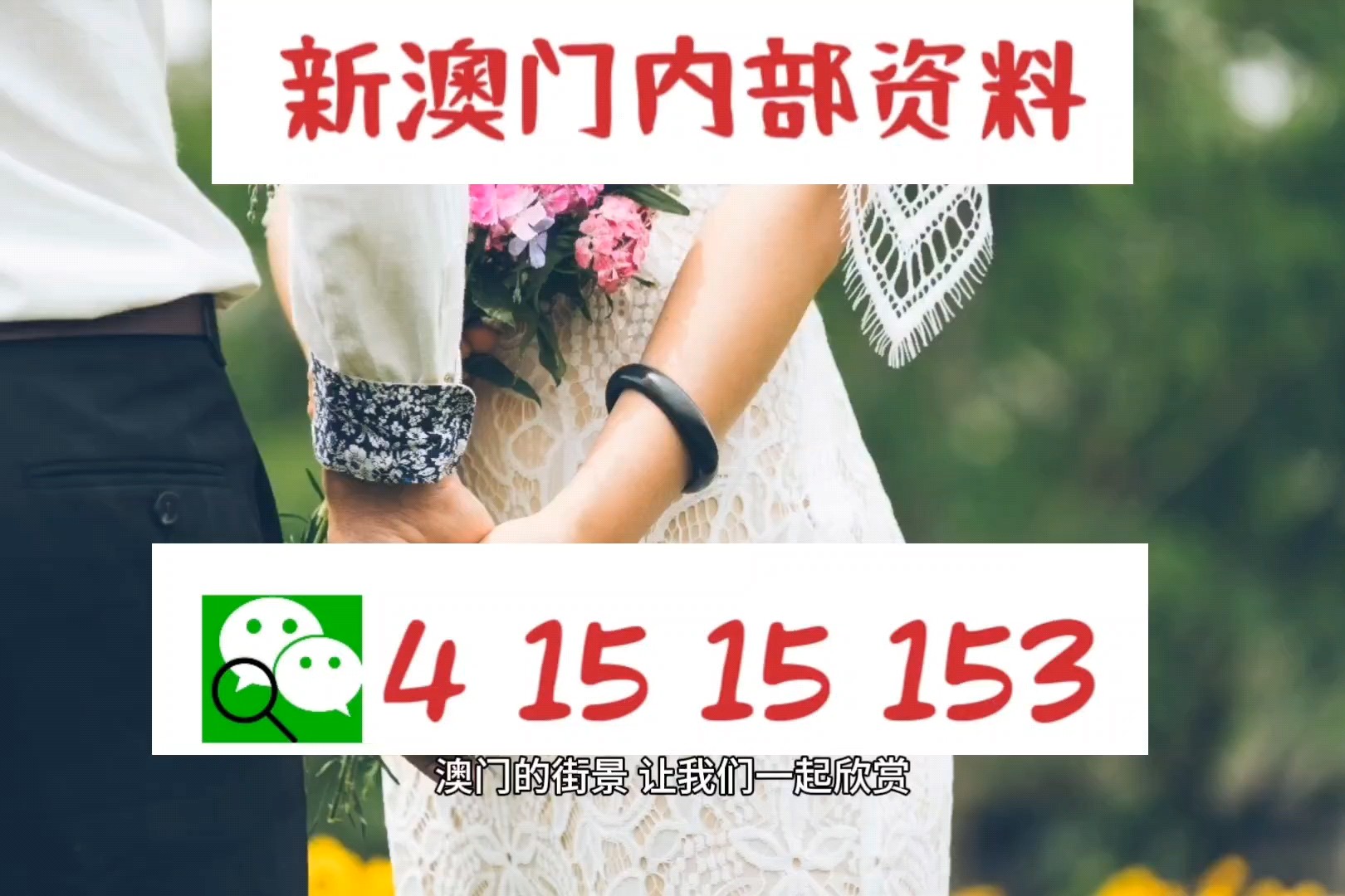 澳門(mén)六肖中特馬，探索與解讀，澳門(mén)六肖中特馬的探索與解讀指南