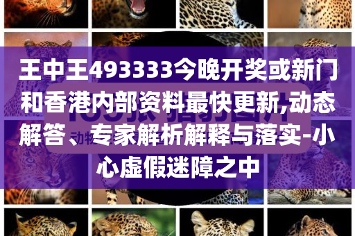 王中王493333
