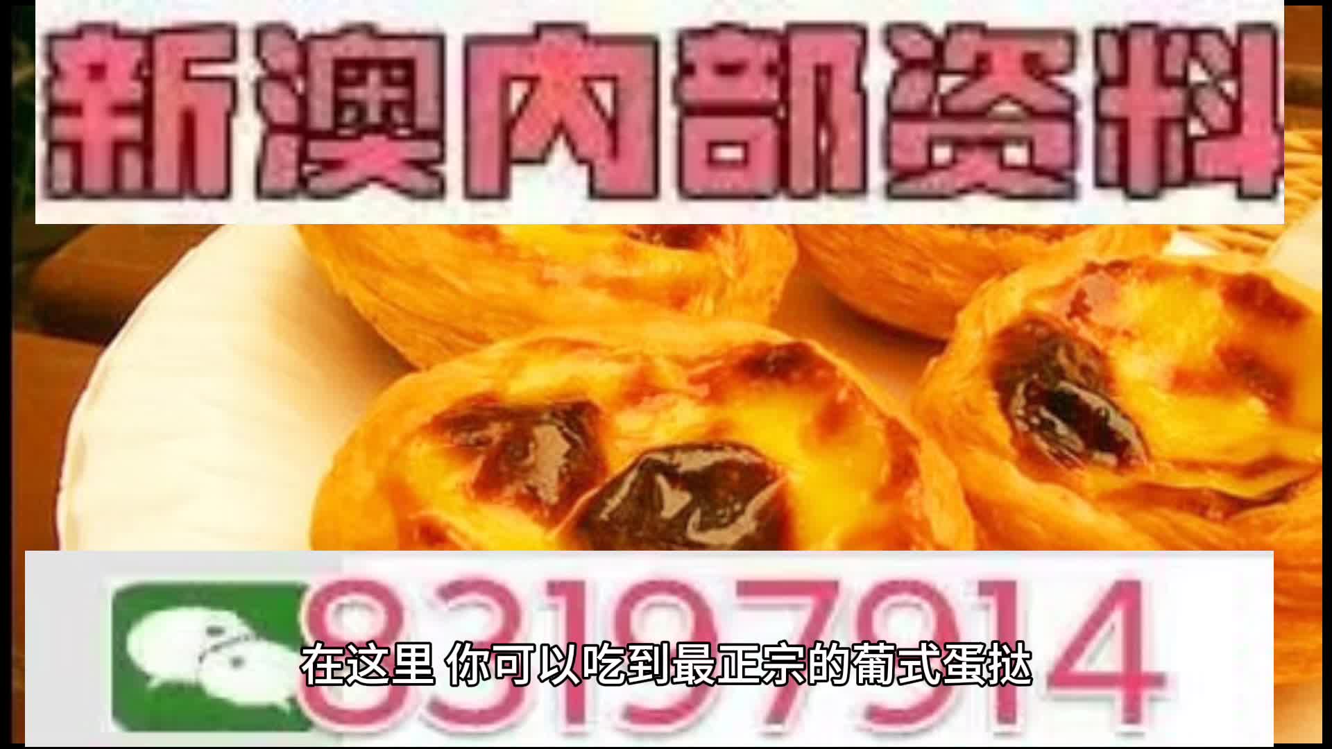 探索未來的澳門，新澳門中特網(wǎng)的發(fā)展與展望，澳門未來探索，新澳門中特網(wǎng)的發(fā)展展望