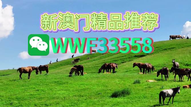 揭秘精準四生肖，探尋數(shù)字組合77777與88888背后的奧秘，揭秘精準四生肖與神秘數(shù)字組合77777與88888的奧秘探索