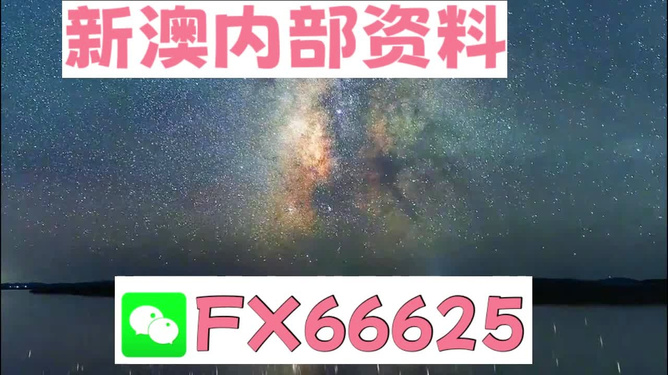 新澳天天開獎資料大全一，探索彩票世界的奧秘，新澳天天開獎資料大全一，揭秘彩票世界的神秘面紗
