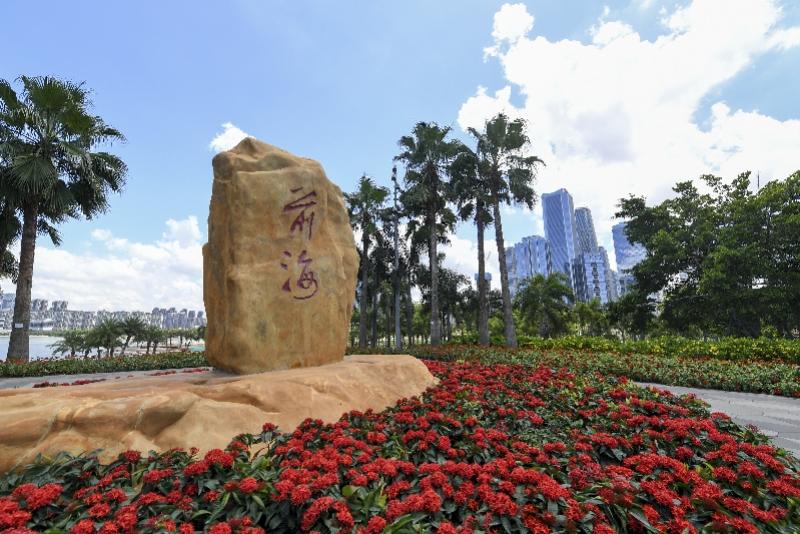 新澳門(mén)內(nèi)部精準(zhǔn)公開(kāi)，探索與解讀，澳門(mén)內(nèi)部精準(zhǔn)解讀，探索與揭秘