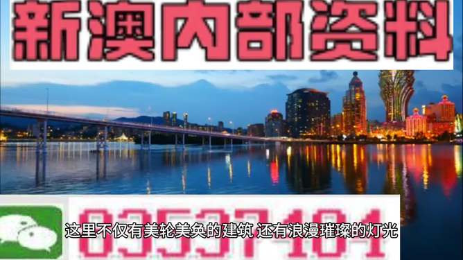 新澳新澳門正版資料的深度解析，澳門正版資料深度解析與解讀