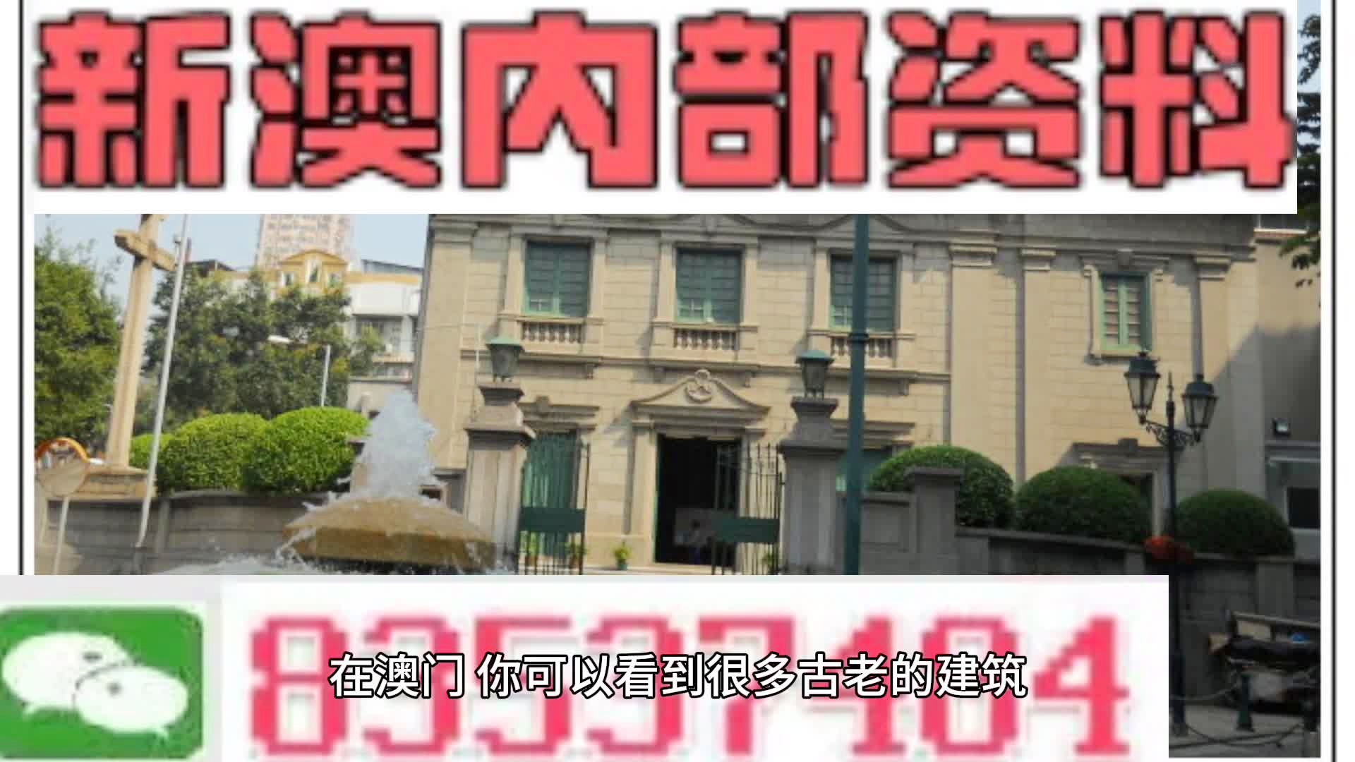新門內(nèi)部免費資料大全，探索知識的寶庫，新門內(nèi)部知識寶庫，免費資料大全探索之旅